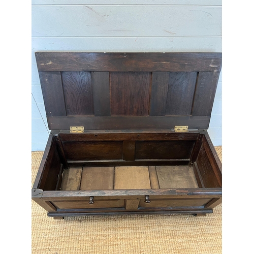 19 - An oak two panelled coffer (H45cm W90cm D40cm)