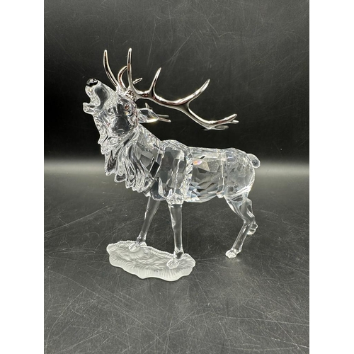 245 - A boxed Swarovski crystal stag