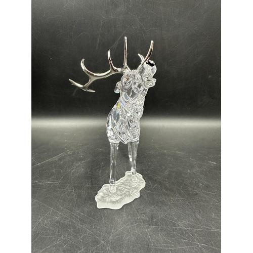 245 - A boxed Swarovski crystal stag