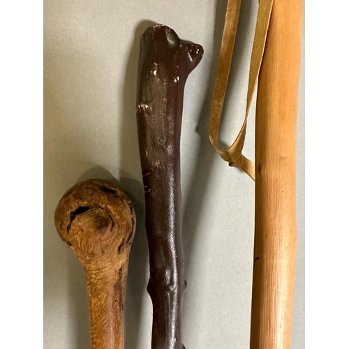 382 - Three wooden carved and whittled walking sticks various woods