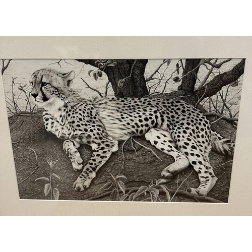 653 - Three signed prints by Clive Mercoath of wildlife scenes