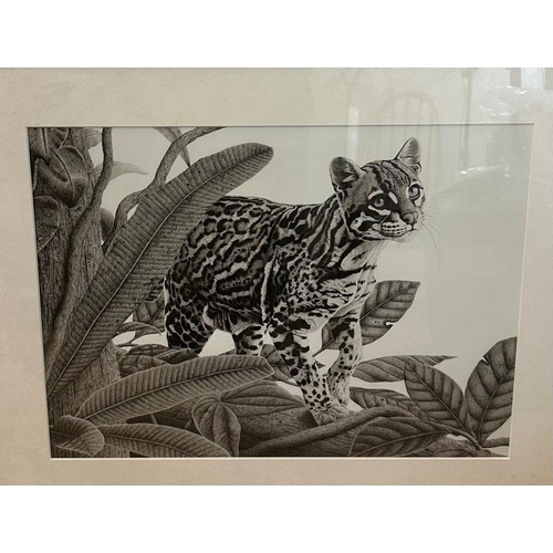 653 - Three signed prints by Clive Mercoath of wildlife scenes