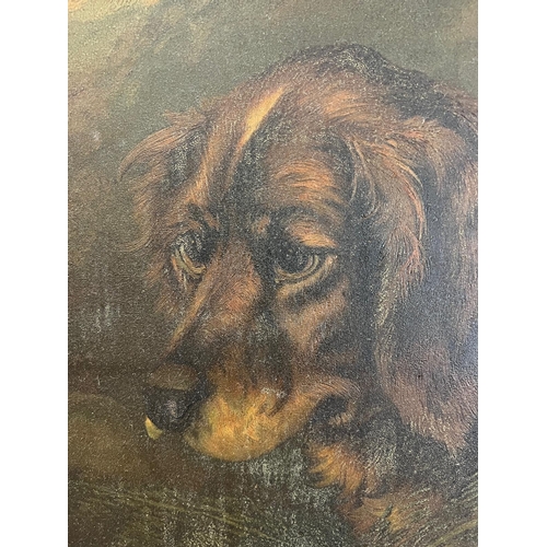 654 - A portrait of a dog oil on board