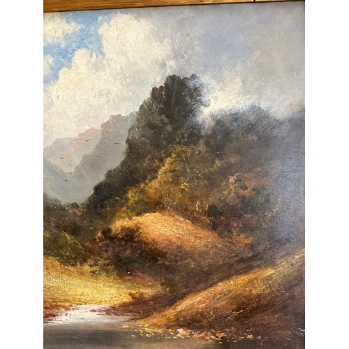 667 - A landscape of a Scottish highland scene signed lower left F.E Jameson