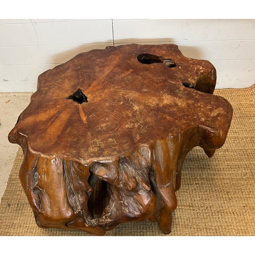 170 - A root coffee table, crafted from a single piece with a unique look (H44cm W91cm D78cm)