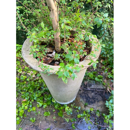 285 - A tall planter tapering down to base (H55cm Dia43cm)