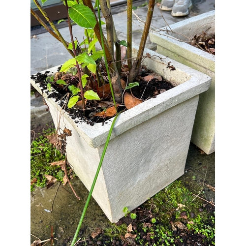 290 - A pair of square planters (H34cm SQ31cm)