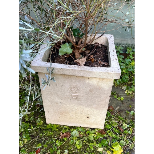 290 - A pair of square planters (H34cm SQ31cm)