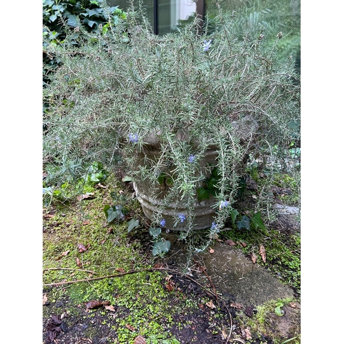 295 - A pair of composite stone  planters with rose crowns to sides (H43cm Dia56cm)