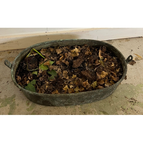 320 - A weathered copper pan used as a planter (H20cm W60cm)