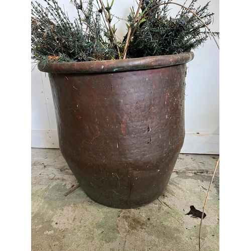 344 - A weathered copper planter (H53cm Dia55cm)