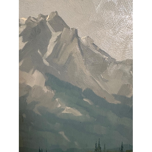 379 - An oil on board of a mountain landscape 