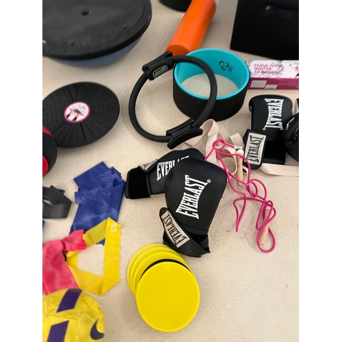 791 - A large selection of Gym equipment including weights, plates box, boxing gloves etc