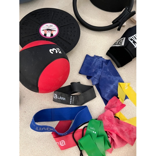 791 - A large selection of Gym equipment including weights, plates box, boxing gloves etc