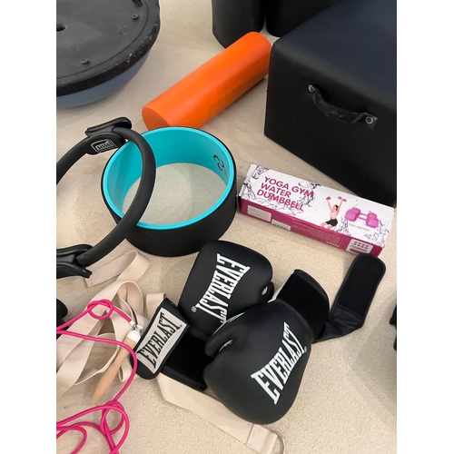 791 - A large selection of Gym equipment including weights, plates box, boxing gloves etc