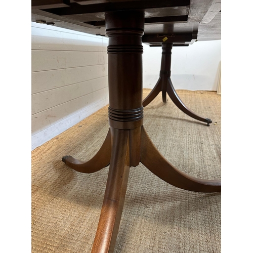 53 - A single leaf mahogany extendable dining table on pedestal tripod legs and brass lion paws feet (H73... 