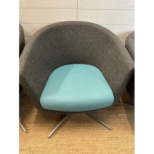 99 - Three two tone tub chairs on X frame swivel bases in grey and blue upholstery