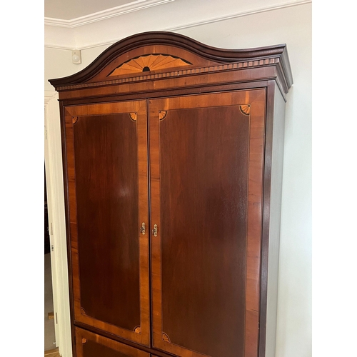 80 - A Regency style display cabinet with panelled doors opening to glass shelves and lights (H217cm W104... 