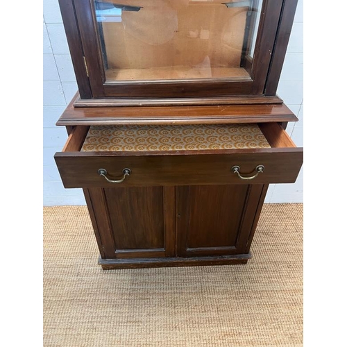 26 - A glazed display unit upon a cabinet base with panelled doors (H174cm W81cm D50cm)