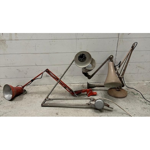 Lot 206       