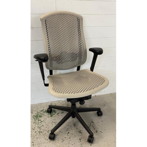 Lot 25        