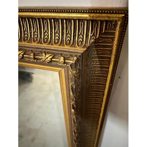 201 - A gilt wall mirror, H180 X 75cm