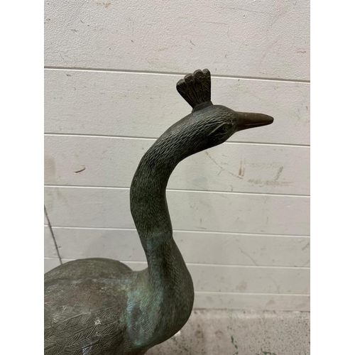 249 - A metal garden sculpture of a peacock with oxidised patina (length 116cm from beck to tail H79cm)