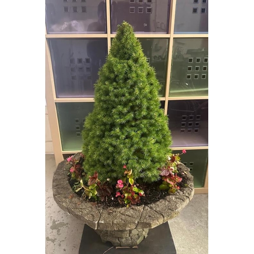 255 - A concrete brick effect planter with tree