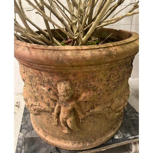 262 - A pair circular terracotta planters with cherub and swag relief pattern (H40cm Dia50cm)