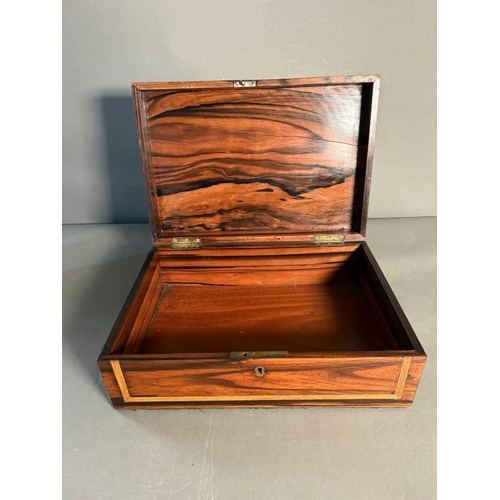 167 - A coromandel wood campaign style box with brass handles and black central escutcheon