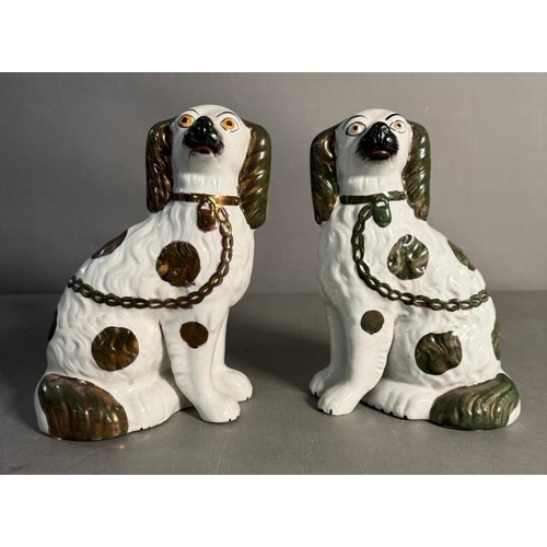 304 - A pair of Staffordshire spaniels in white and gilt green