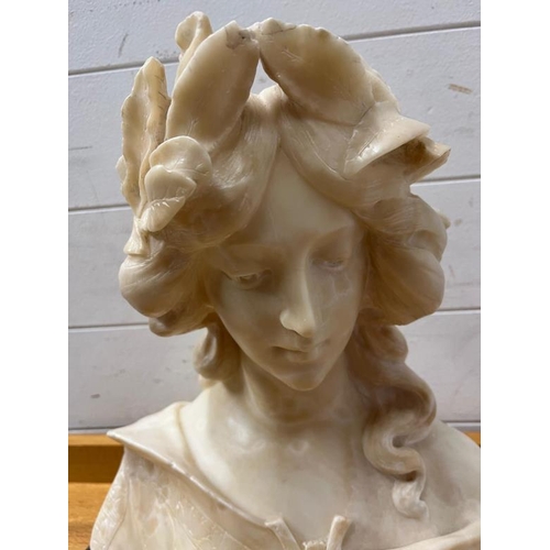 363 - Alabaster bust, unsigned on a mount stand (H40cm W41cm)