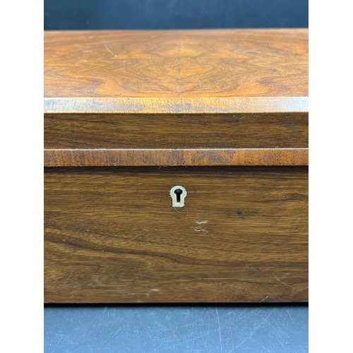 395 - Humidor box (inside AF) (H16cm W36cm D23cm)