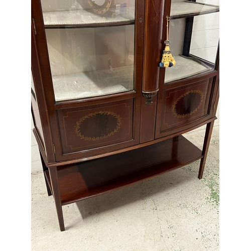 81 - Edwardian mahogany double glazed display cabinet (H180cm W108cm D40cm)