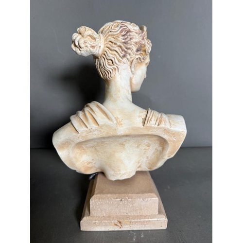 247 - A bust of the Greek goddess Artemis on plinth (H30cm)