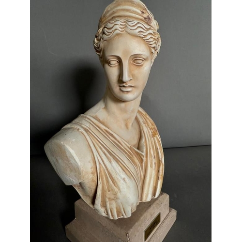 247 - A bust of the Greek goddess Artemis on plinth (H30cm)