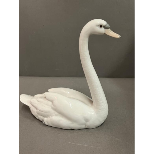 301 - Lladro swan, boxed