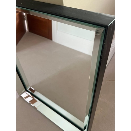 194 - Bevelled wall mirror