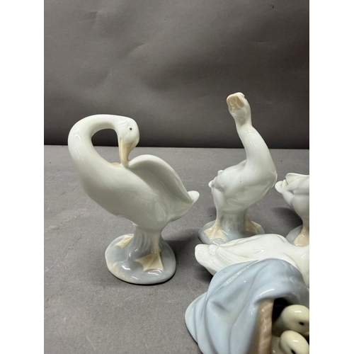 258 - A selection of four Lladro figures, three of geese and the fourth a duck and ducklings.