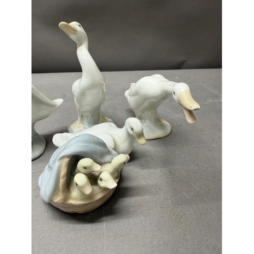 258 - A selection of four Lladro figures, three of geese and the fourth a duck and ducklings.