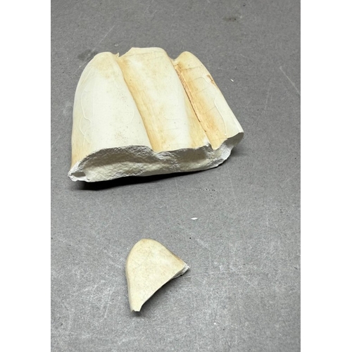 259 - A large Royal Dux eagle, circa 1920 with some damage wing tip present but in need of repair. Height ... 