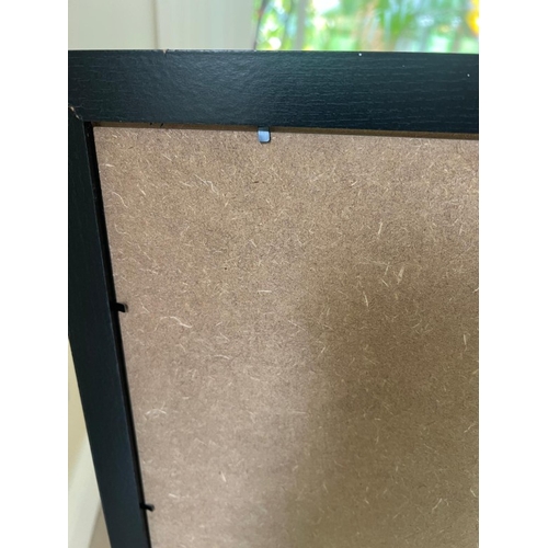 366 - Contemporary print 