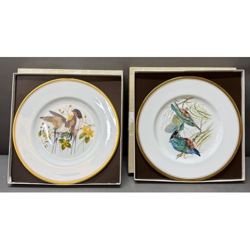 164 - A set of two boxed Boehn bird plates, a Kingfisher and Swallows