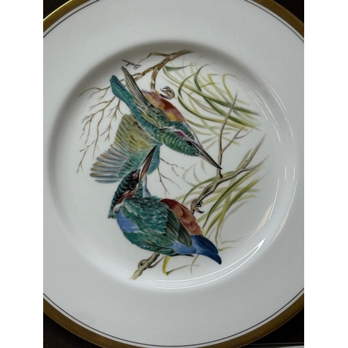 164 - A set of two boxed Boehn bird plates, a Kingfisher and Swallows