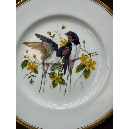164 - A set of two boxed Boehn bird plates, a Kingfisher and Swallows