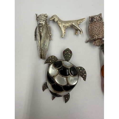 100 - Six silver stamped brooches (violin dog turtle owl and beautiful keltic design) plus a bug/fly brooc... 