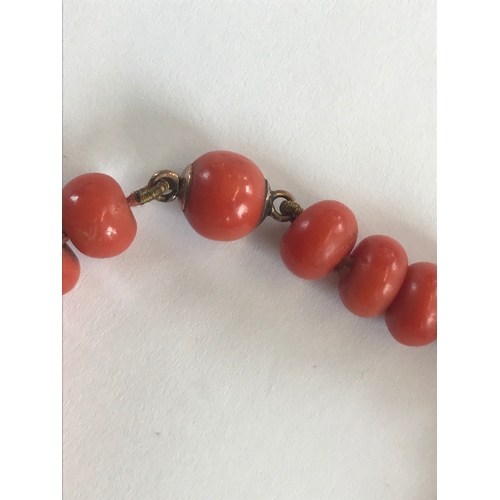 205 - A Victorian coral bead necklace, the seventy uniform beads attached to a coral bead clasp, 47cm long... 