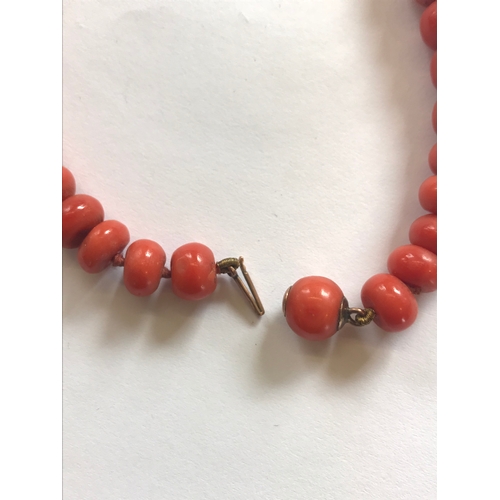 205 - A Victorian coral bead necklace, the seventy uniform beads attached to a coral bead clasp, 47cm long... 