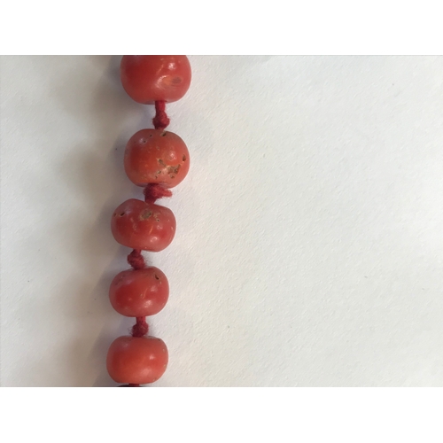 206 - A Victorian coral bead necklace, the fifty five graduated beads upon knotted string and with attache... 