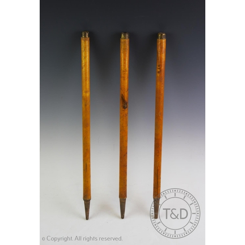 441 - Three Victorian child's cricket stumps with brass tops, 20 inches, 51cm long overall (3)